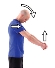 Standing Lower Cervical and Upper Thoracic Stretch